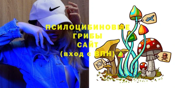 мдпв Балахна